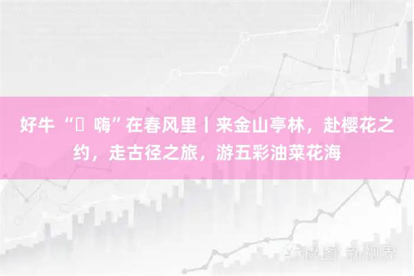好牛 “​嗨”在春风里丨来金山亭林，赴樱花之约，走古径之旅，游五彩油菜花海