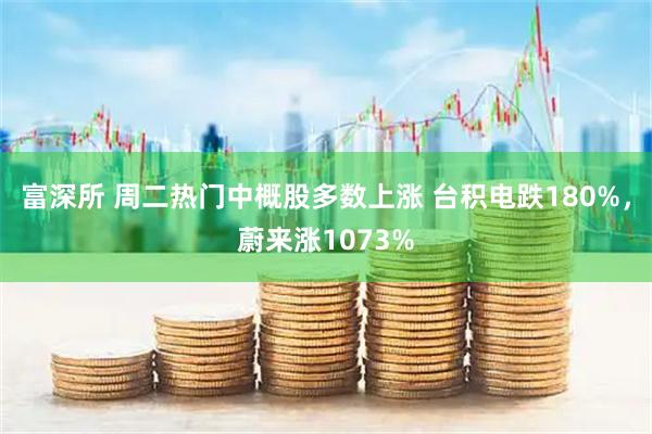富深所 周二热门中概股多数上涨 台积电跌180%，蔚来涨1073%