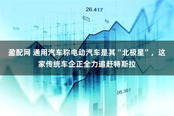 盈配网 通用汽车称电动汽车是其“北极星”，这家传统车企正全力追赶特斯拉