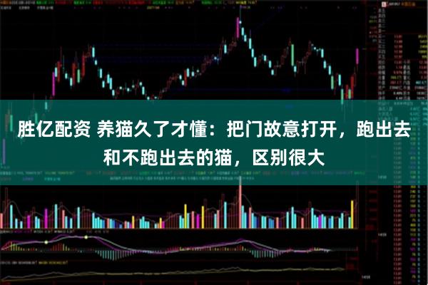 胜亿配资 养猫久了才懂：把门故意打开，跑出去和不跑出去的猫，区别很大